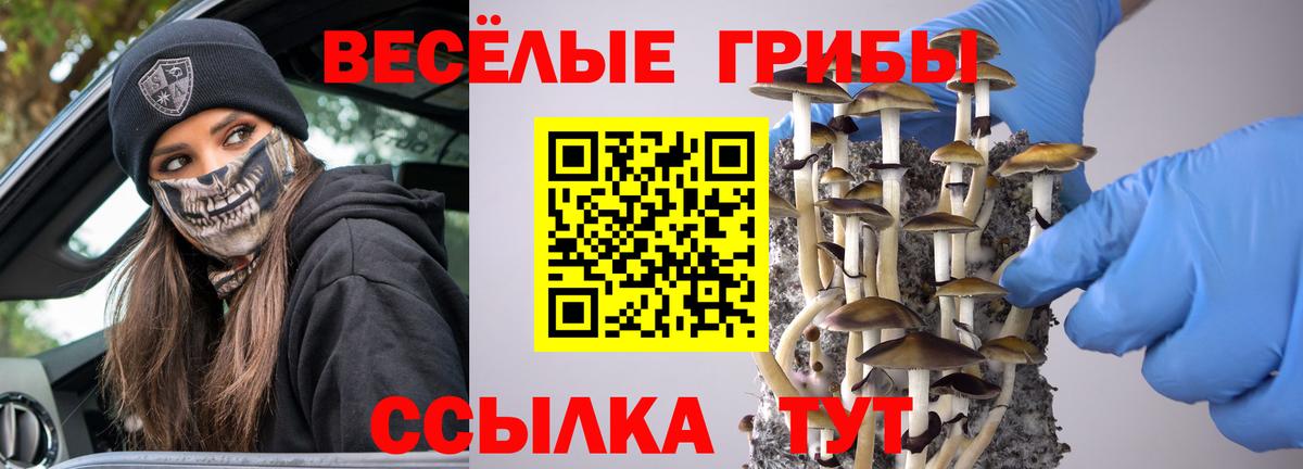Соликамск  Галлюциногенные грибы GOLDEN TEACHER  Вход с VPN 